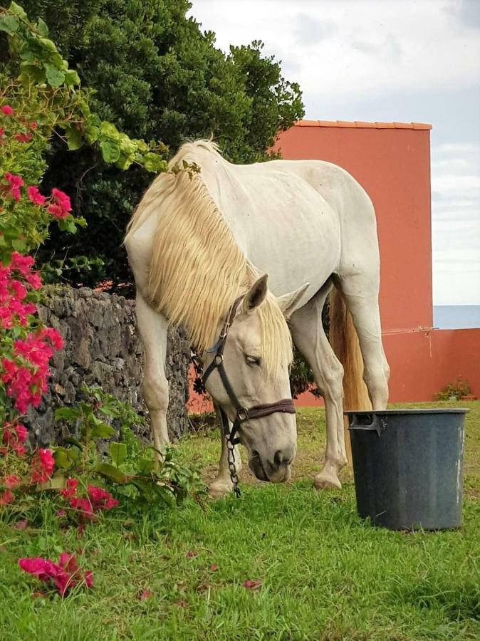 Quinta da Falésia - Casa Amarela Ponta Delgada Extérieur photo