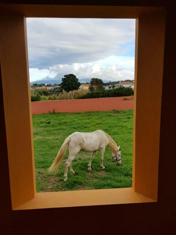 Quinta da Falésia - Casa Amarela Ponta Delgada Extérieur photo