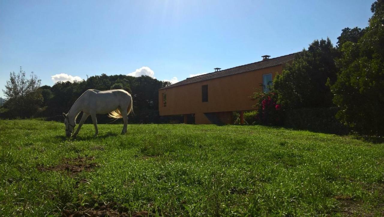 Quinta da Falésia - Casa Amarela Ponta Delgada Extérieur photo