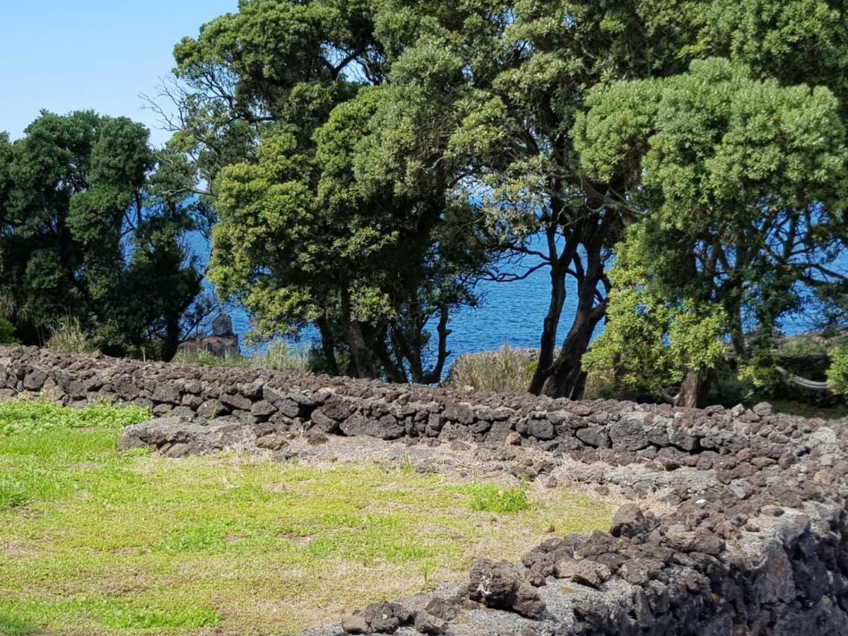 Quinta da Falésia - Casa Amarela Ponta Delgada Extérieur photo